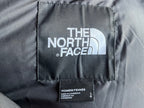 Veste peluche Northface